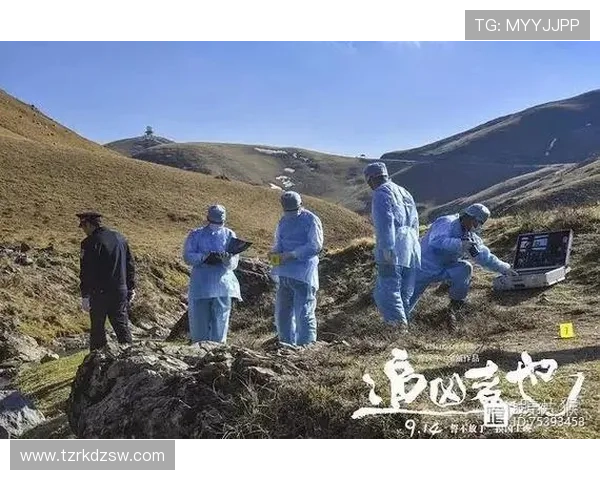 《追凶者也》：1个意外，4个嫌疑人，你能猜到真凶是谁吗？