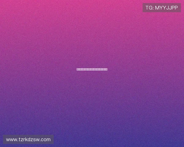 异次元骇客：第十三层的迷局，你敢踏足吗？